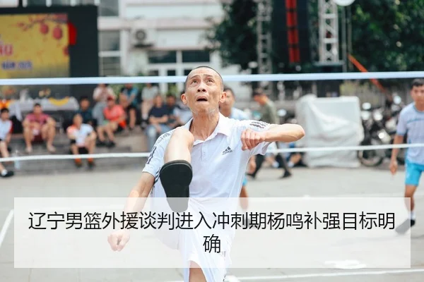辽宁男篮外援谈判进入冲刺期杨鸣补强目标明确