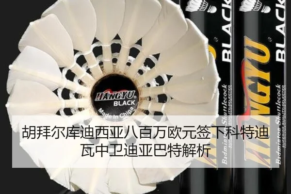 胡拜尔库迪西亚八百万欧元签下科特迪瓦中卫迪亚巴特解析